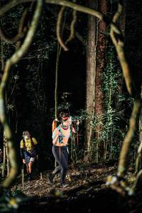 BIB: 
                            <button type="button" onclick="openModal(25239655)" class="btn btn-primary btn-sm float-right btn-popup" data-toggle="modal" data-target=".modal-high-quality">
                        <i class="fas fa-shopping-cart"></i> Add to Cart
                    </button>
                                            <button type="button" onclick="isThisMe(25239655, true)" class="btn btn-success btn-sm float-right btn-popup btn-isme hidden" data-toggle="tooltip" data-placement="bottom" title="นี่คือรูปของคุณใช่ไหม คลิกที่นี่เพื่อเอาเข้าอัลบั้ม">
                        <i class="fas fa-plus"></i> Add to album
                    </button>
                    <button type="button" onclick="isThisMe(25239655, false)" class="btn btn-warning btn-sm float-right btn-popup btn-isnotme hidden">
                        <i class="fas fa-ban"></i> Remove from album
                    </button>